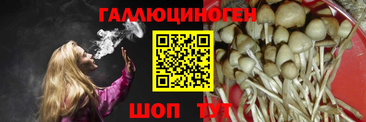 Псилоцибиновые грибы прущие грибы  Галлюциногенные грибы Magic Shrooms  Вход с VPN  Коряжма 